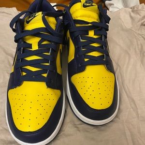 Nike Michigan Dunks